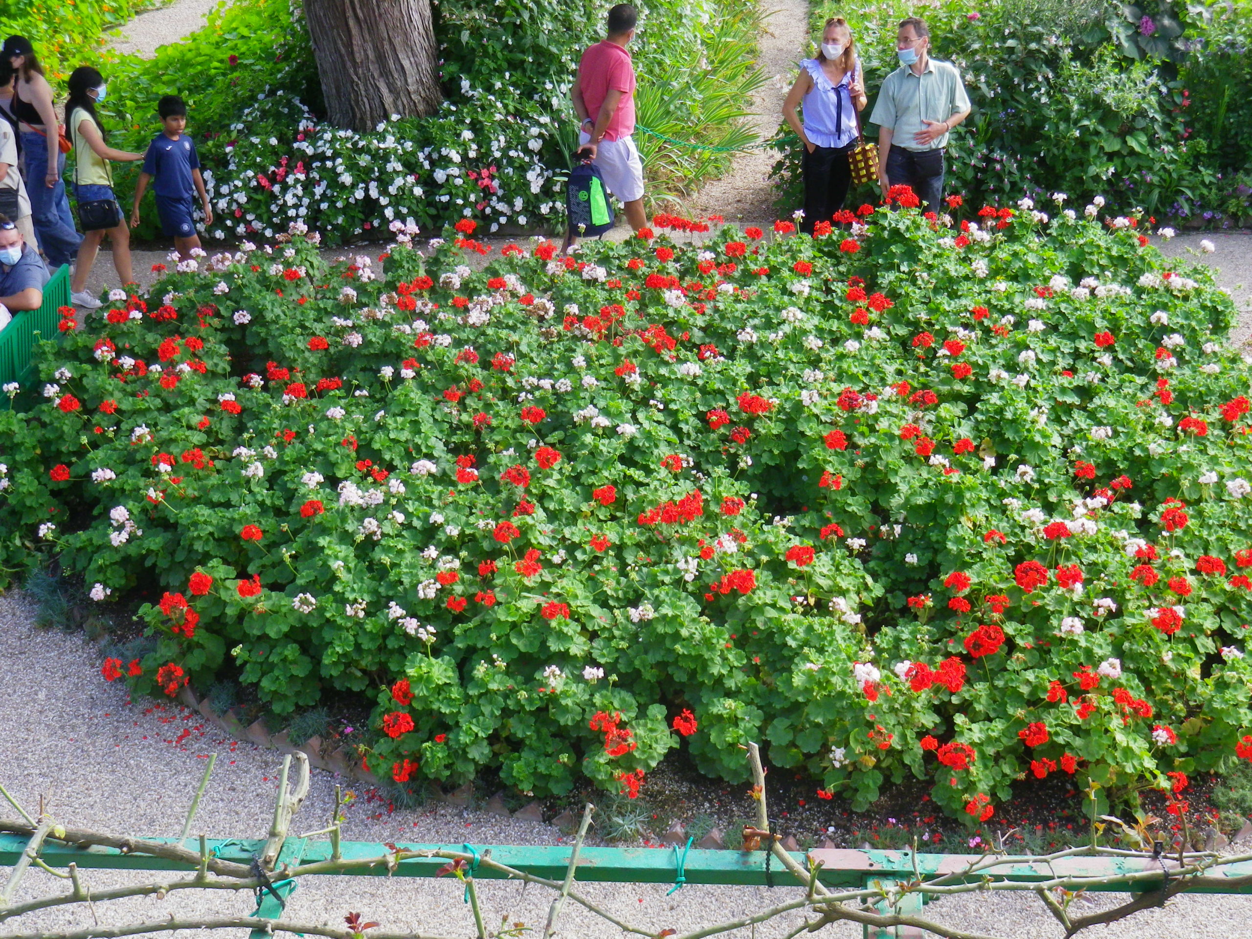 11e rallye du Patrimoine, J1.