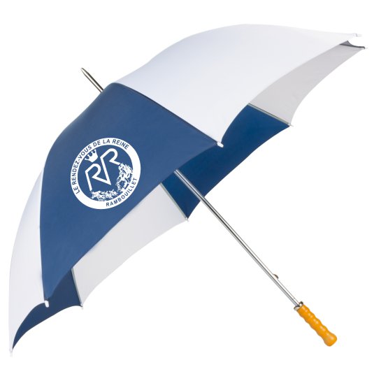 Parapluie bleu blanc